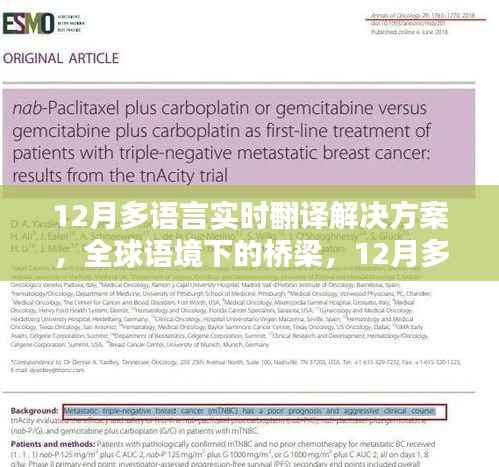 全球语境下的桥梁,12月多语言实时翻译解决方案的演进与影响