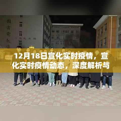 宣化实时疫情深度解析及用户体验报告,最新动态与体验反馈