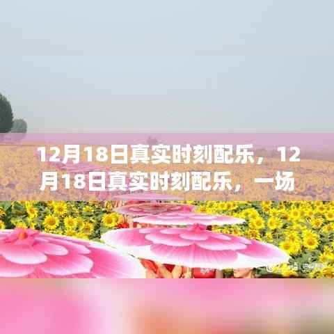 12月18日真实时刻配乐,音乐的盛宴,情感随旋律流淌