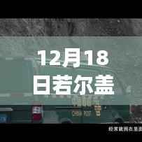 风雪若尔盖至成都之路,驾驭变化之海,励志传奇启程