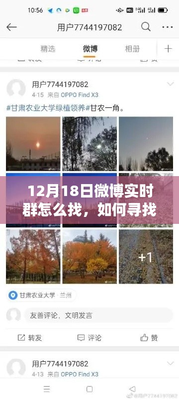 母凭子贵