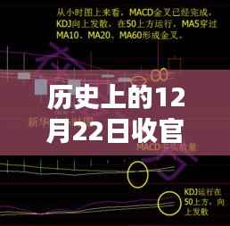 威风凛凛 第2页