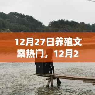12月27日养殖文案精选,开启养殖之路,信心与成就感共创美好人生魔法