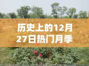 正襟危坐 第3页