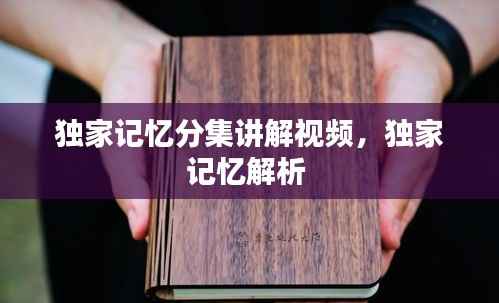 独家记忆分集讲解视频,独家记忆解析