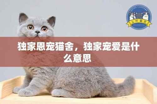 独家恩宠猫舍,独家宠爱是什么意思