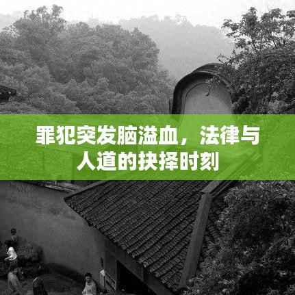 罪犯突发脑溢血,法律与人道的抉择时刻