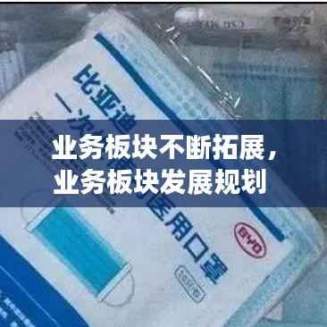 业务板块不断拓展,业务板块发展规划