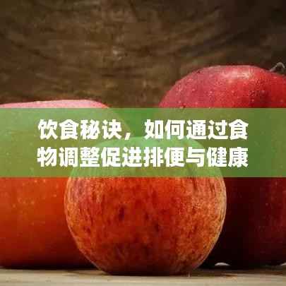 饮食秘诀,如何通过食物调整促进排便与健康生活关联?