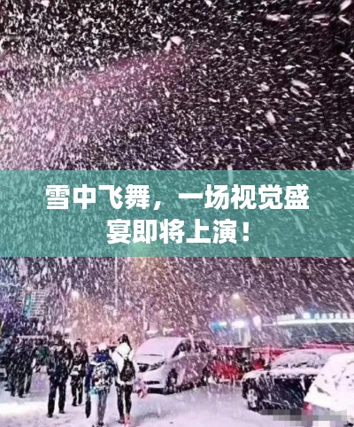 雪中飞舞,一场视觉盛宴即将上演!