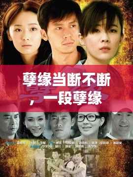 择善而从 第2页