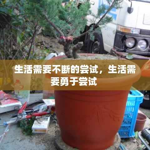 生活需要不断的尝试，生活需要勇于尝试 