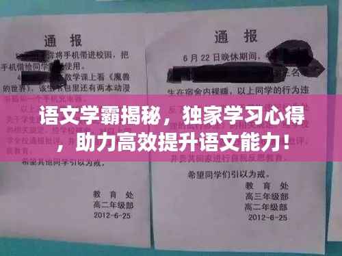 语文学霸揭秘，独家学习心得，助力高效提升语文能力！