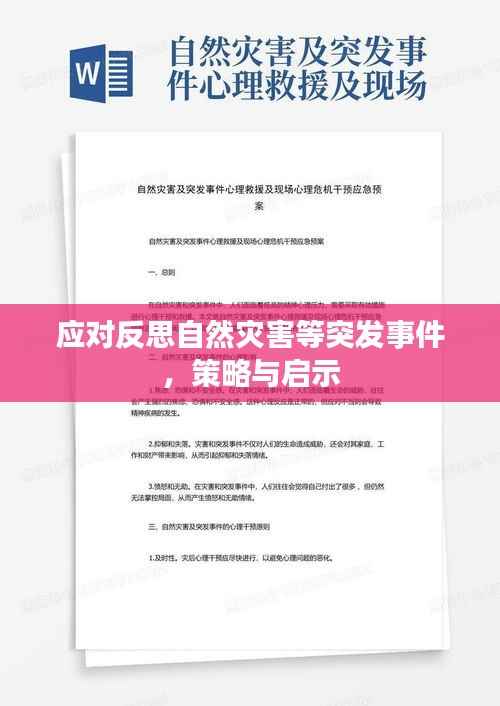 应对反思自然灾害等突发事件，策略与启示