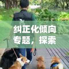 纠正化倾向专题,探索与实践的路径解析