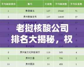 老挝核酸公司排名大揭秘,权威榜单揭晓,这些公司领跑行业!