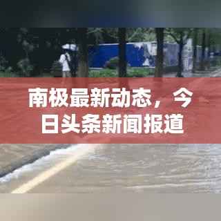 南极最新动态,今日头条新闻报道揭秘南极最新消息