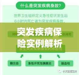 衣不重采 第2页