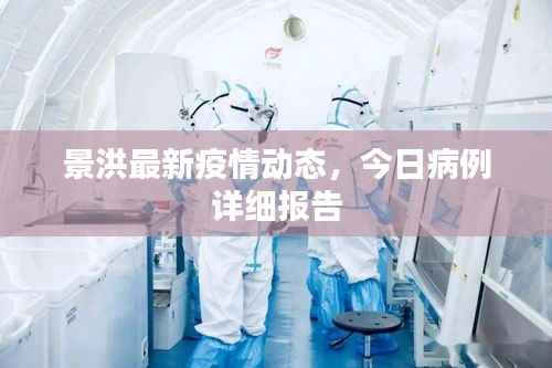 景洪最新疫情动态,今日病例详细报告