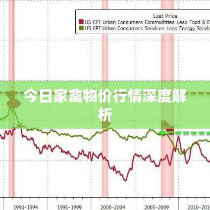 今日家禽物价行情深度解析