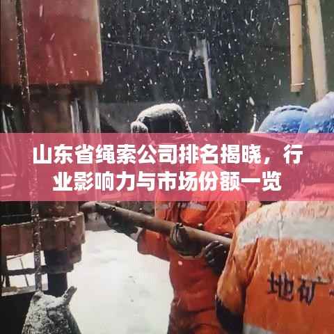 山东省绳索公司排名揭晓,行业影响力与市场份额一览