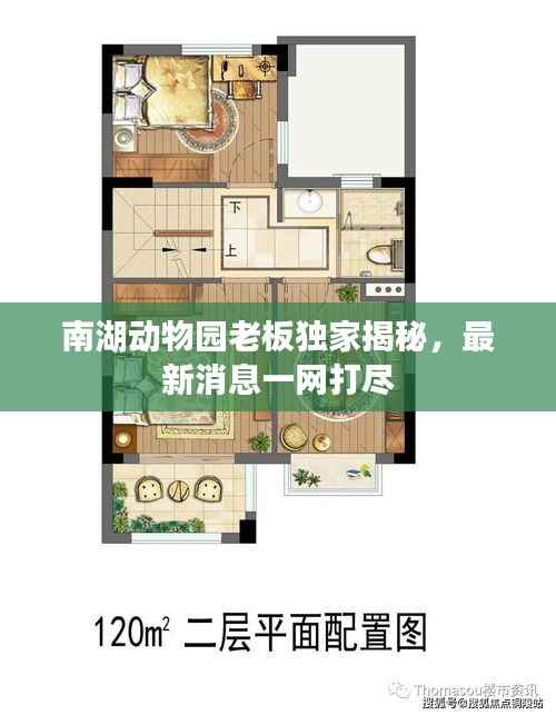 南湖动物园老板独家揭秘，最新消息一网打尽