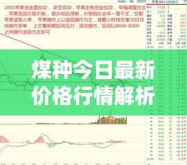 煤种今日最新价格行情解析