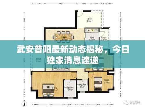 武安普阳最新动态揭秘,今日独家消息速递