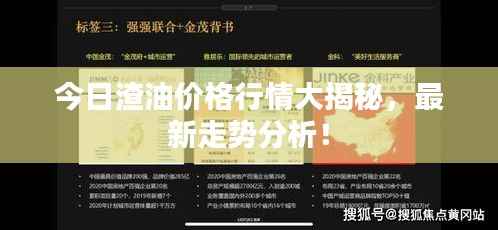 今日渣油价格行情大揭秘，最新走势分析！