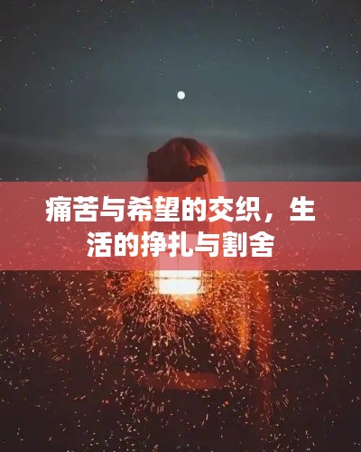 痛苦与希望的交织,生活的挣扎与割舍