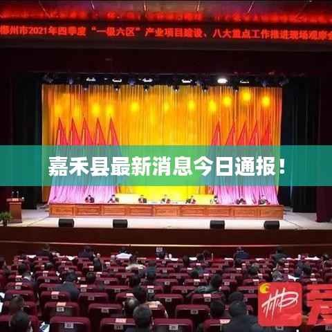 嘉禾县最新消息今日通报！