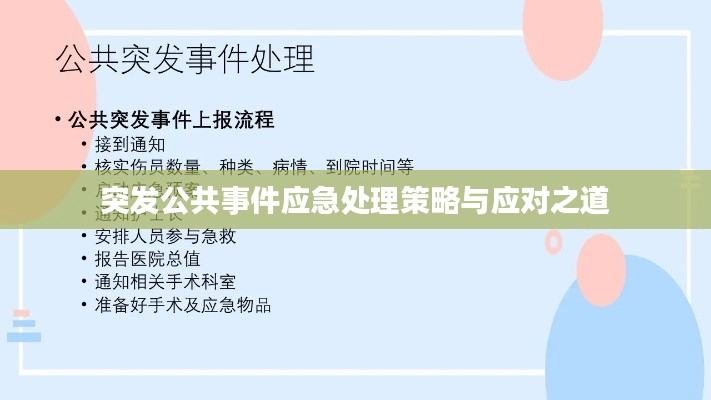 突发公共事件应急处理策略与应对之道