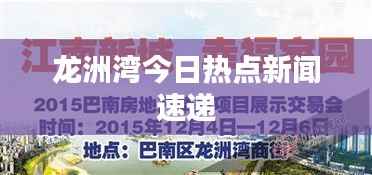 龙洲湾今日热点新闻速递