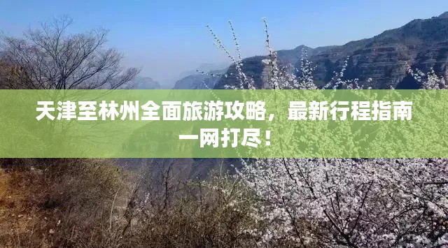 天津至林州全面旅游攻略,最新行程指南一网打尽!