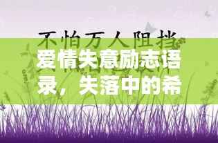 爱情失意励志语录,失落中的希望重生