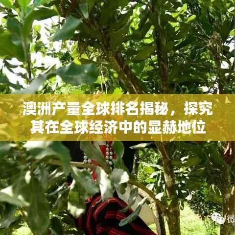 澳洲产量全球排名揭秘,探究其在全球经济中的显赫地位