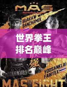 世界拳王排名巅峰,荣耀背后的传奇故事