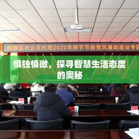 慎独慎微，探寻智慧生活态度的奥秘