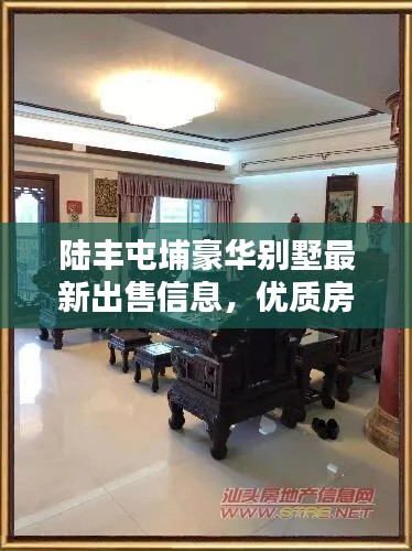 陆丰屯埔豪华别墅最新出售信息,优质房源一览