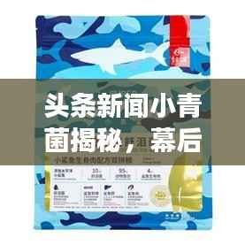头条新闻小青菌揭秘,幕后故事与巨大影响力