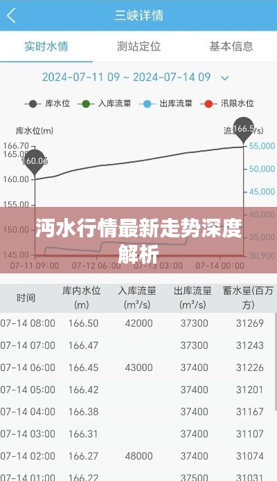 沔水行情最新走势深度解析