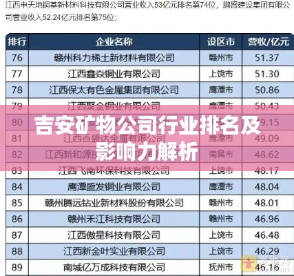 吉安矿物公司行业排名及影响力解析