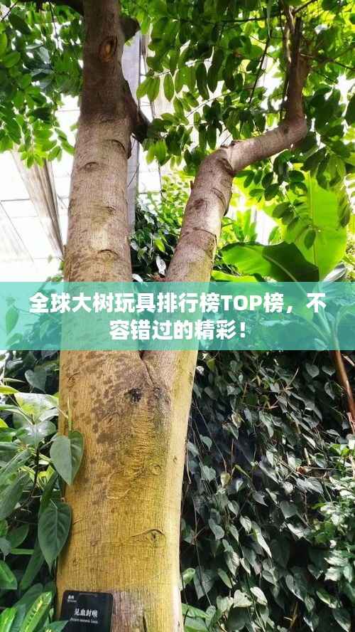 后会难期 第2页