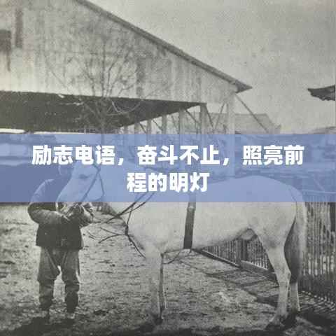 励志电语,奋斗不止,照亮前程的明灯