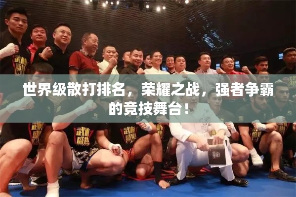 世界级散打排名,荣耀之战,强者争霸的竞技舞台!