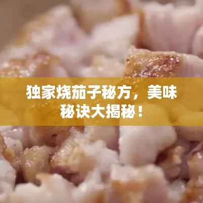 独家烧茄子秘方,美味秘诀大揭秘!