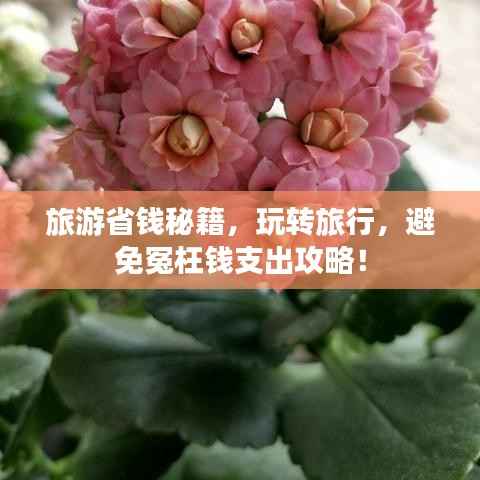 旅游省钱秘籍,玩转旅行,避免冤枉钱支出攻略!