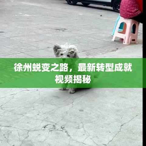 徐州蜕变之路，最新转型成就视频揭秘