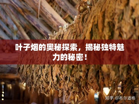 张牙舞爪