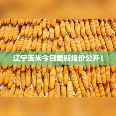 风驰电掣